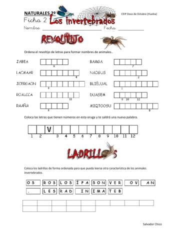 Los invertebrados 2