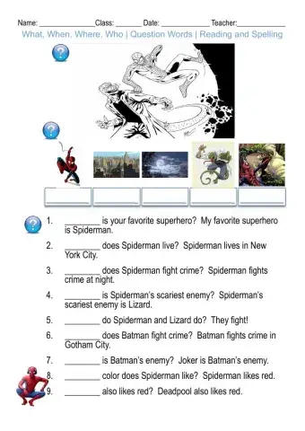 What, When, Where, Who - Question Words - Reading and Spelling