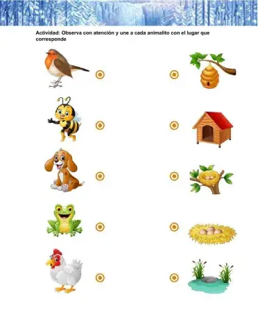 Ámbito Relaciones con el Medio Natural y Cultural