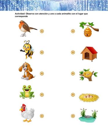 Ámbito Relaciones con el Medio Natural y Cultural