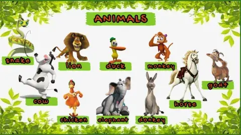 Animals