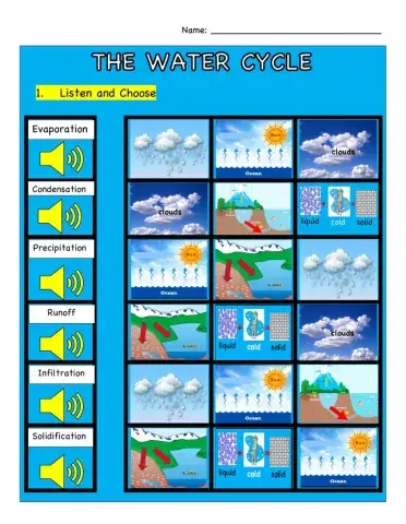 The Water Cycle