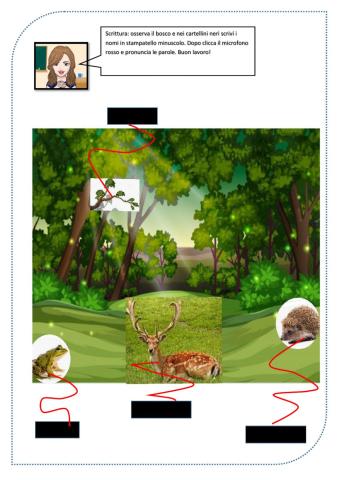 Parole in stampatello minuscolo