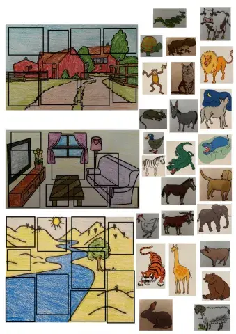 Animal clasification