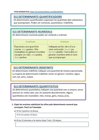 Fitxa 2 - Els determinants