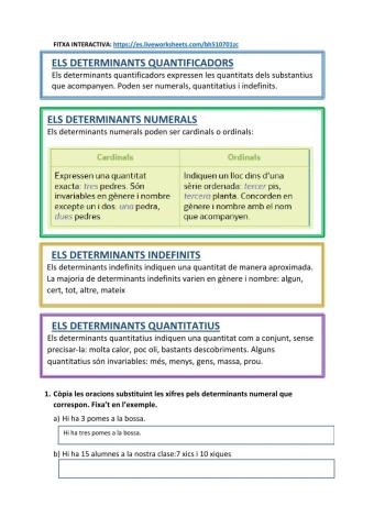 Fitxa 2 - Els determinants