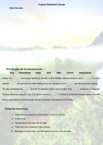 Tropical rainforest climate