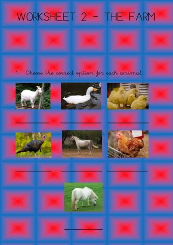 3º - Unit 2 - Worksheet 2 The farm