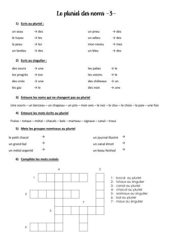 Le pluriel des noms 3