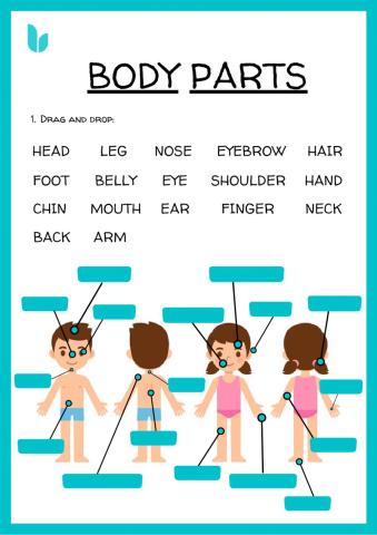 Body parts