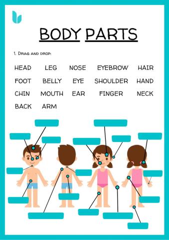 Body parts