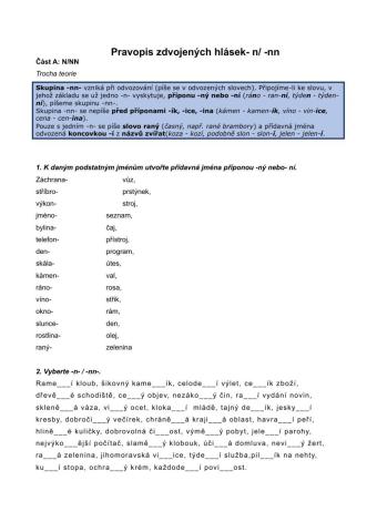 Přídavná jména - n-nn