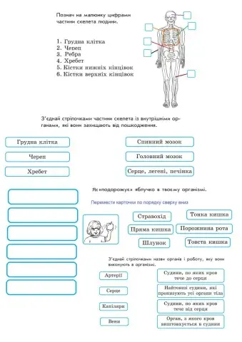 Робочий зошит