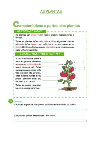 As plantas