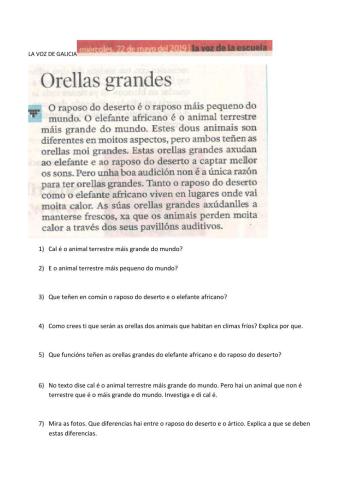 Comprensión lectora gallego castellano