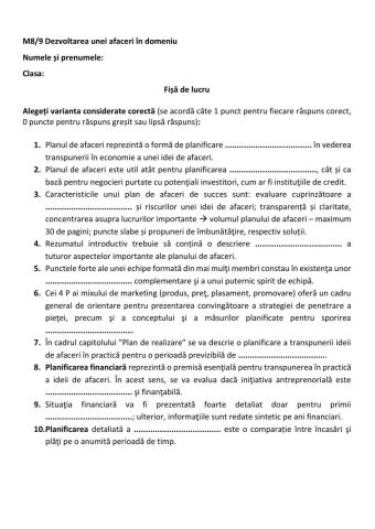 FL Planul de afaceri