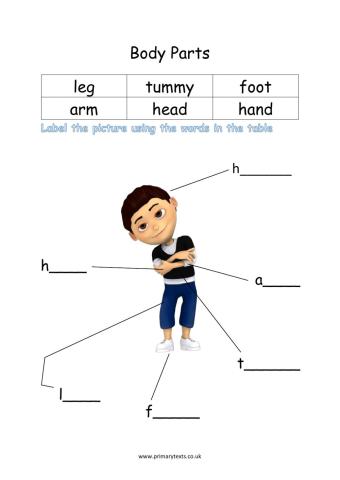 Body Parts