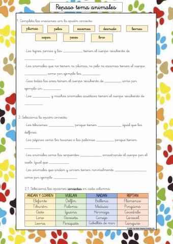 Repaso ciencias animales
