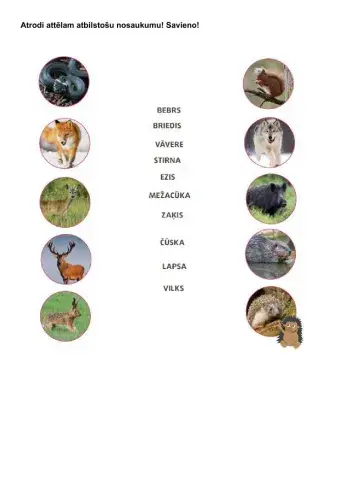 Krustvārdu mīkla latviešu 1. klase