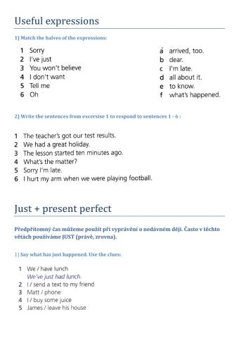 Present perfect revision
