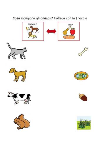 Cosa mangiano gli animali
