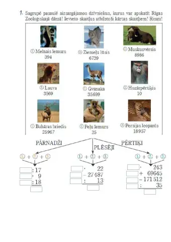 Iepazīsti pasaules dzīvniekus ar matemātiku