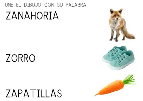 Une el dibujo con su palabra letra z