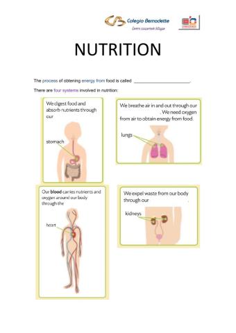 Nutrition body systems