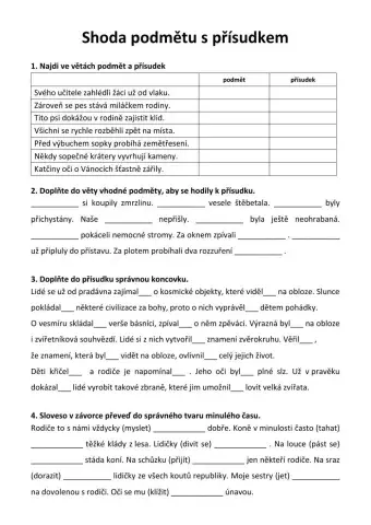 Shoda podmětu s přísudkem