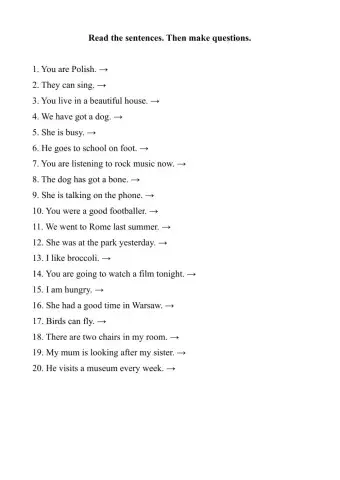 Revision of questions