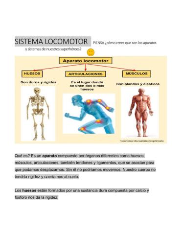 SISTEMA LOCOMOTOR Y SUPERHEROES