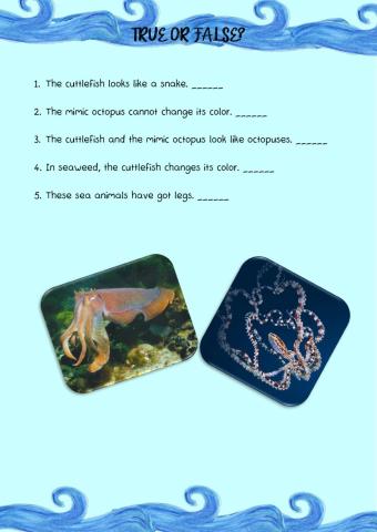 True or False?