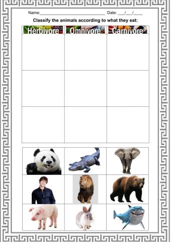 Herbivore, Omnivore or Carnivore