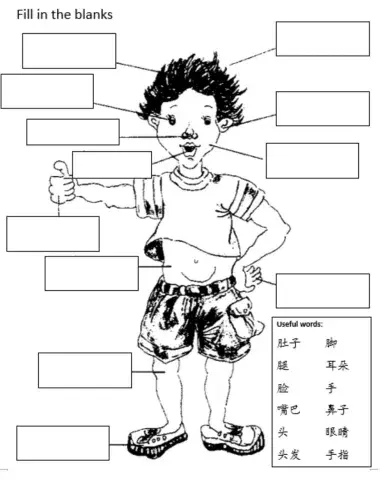 Body Part 身体部位 (revision)