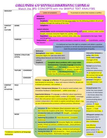 Analysis of Extralinguistic Levels (SFG)