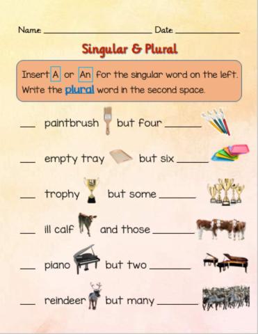 Singular & Plural with Article