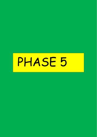 Phase 5