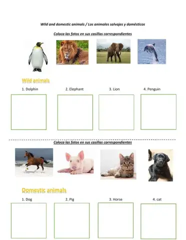 Wild and domestic animals- part 01