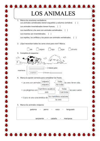 Repasamos los animales