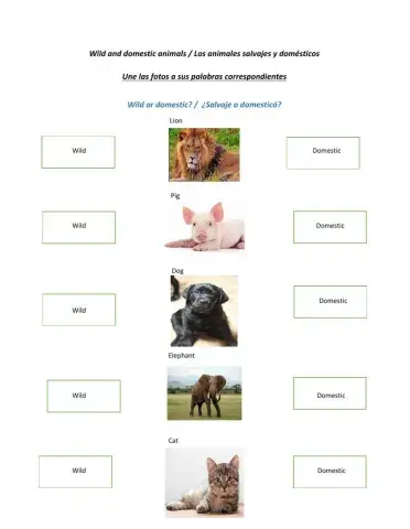 Wild and domestic animals- part 02