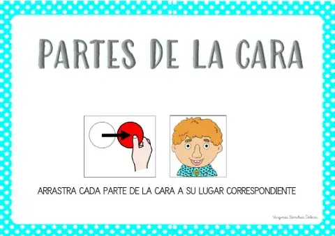 Partes de la cara (i)