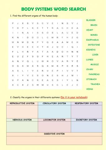 Body systems word search