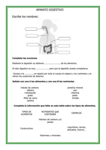 Funciones vitales