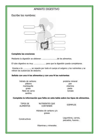 Funciones vitales