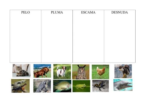 Animales