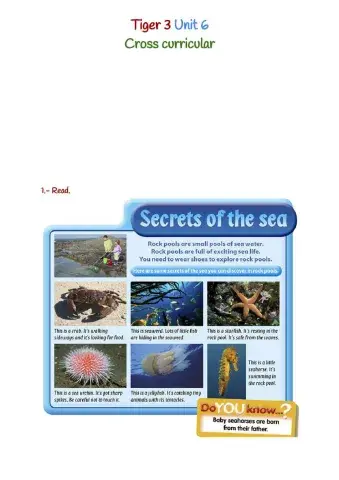 Tiger 3 Unit 6 Cross curricular