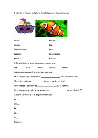 Palabras terminadas en -z y en -d.