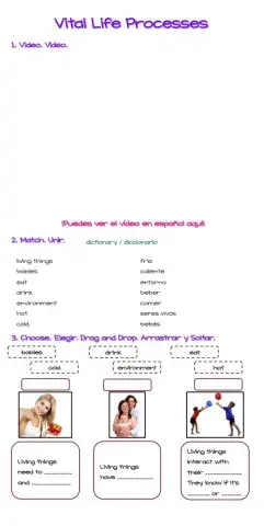 Vital Life Processes