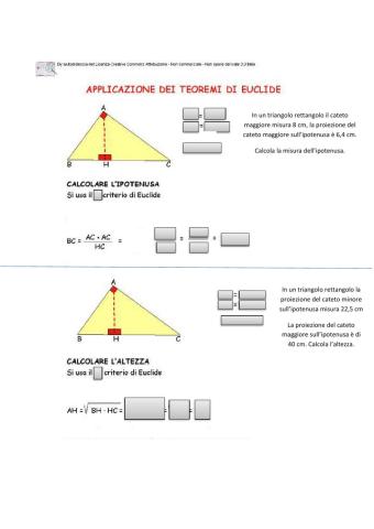 Teorema di euclide