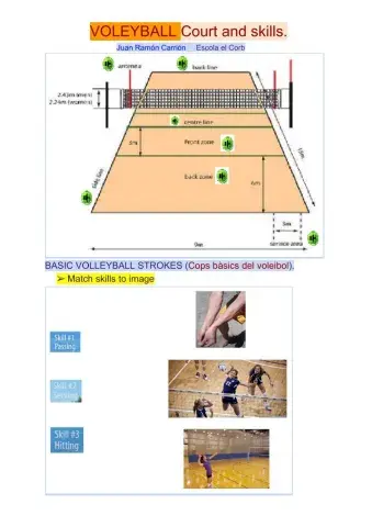 Volleyball court and skills